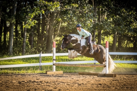 HorseID: 2282581 Finn Watson - PhotoID: 1057873