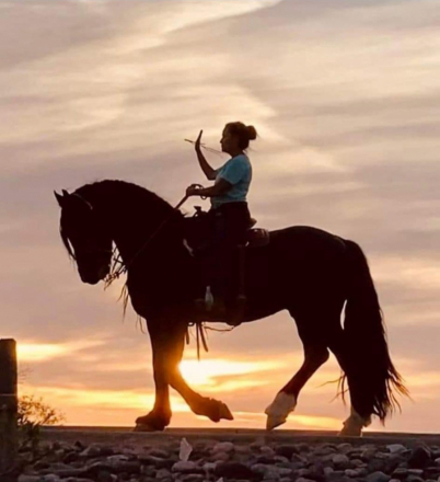 HorseID: 2283731 Enzo - PhotoID: 1084847