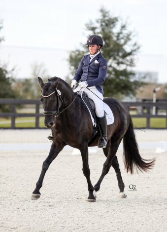 HorseID: 2285133 Indicado E.C - PhotoID: 1083256