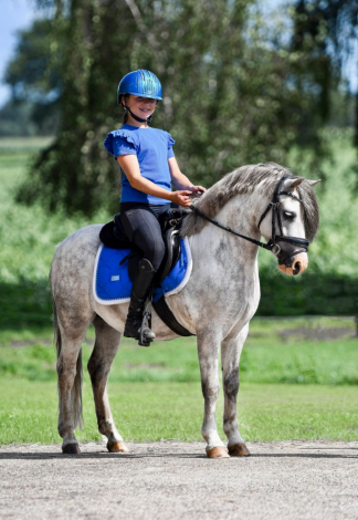 HorseID: 2289598 Spirit - PhotoID: 1067561