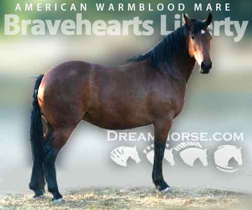 Horse ID: 2186516 Bravehearts Liberty