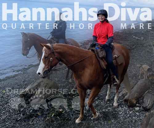 Horse ID: 2266530 HANNAHS DIVA