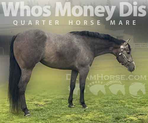 Horse ID: 2268756 Whos Money Dis