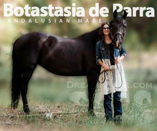 Horse ID: 2271301 Botastasia de Parra