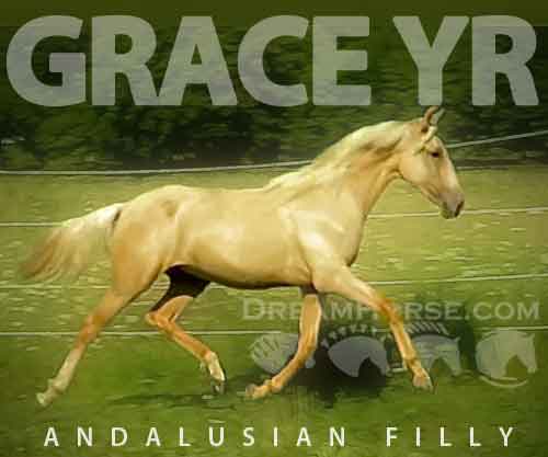 Horse ID: 2272330 Grace YR