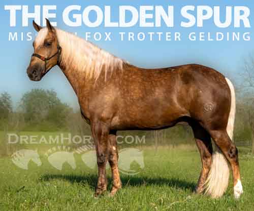 Horse ID: 2274394 THE GOLDEN SPUR