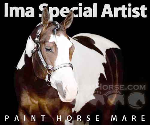 Horse ID: 2274552 Ima Special Artist