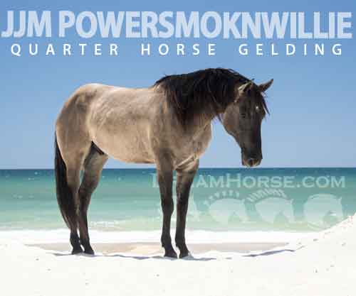Horse ID: 2274586 JJM powersmoknwillie