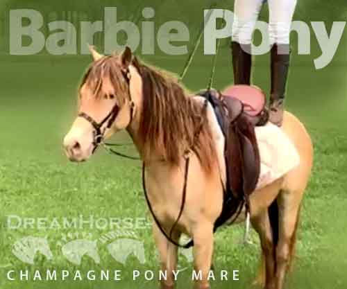 Horse ID: 2274695 Barbie Pony