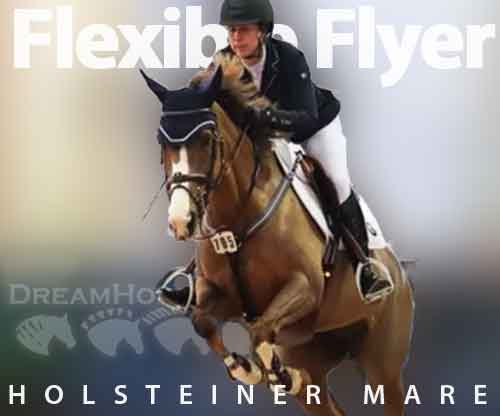 Horse ID: 2274790 Flexible Flyer