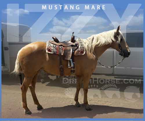 Horse ID: 2275321 Izzy