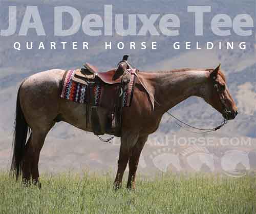 Horse ID: 2275420 JA Deluxe Tee