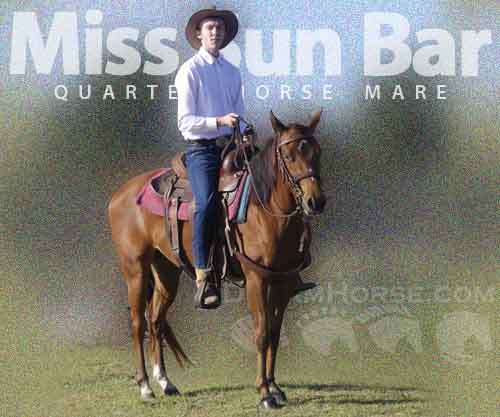 Horse ID: 2275528 Miss Sun Bar