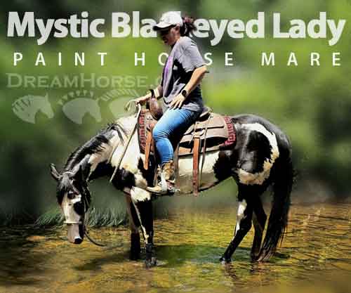 Horse ID: 2277466 Mystic Blackeyed Lady