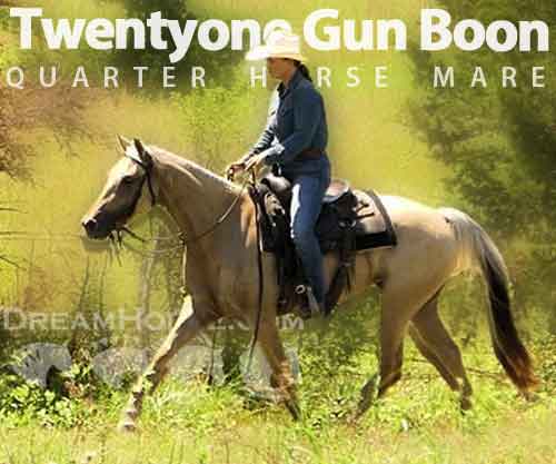 Horse ID: 2277489 Twentyone Gun Boon