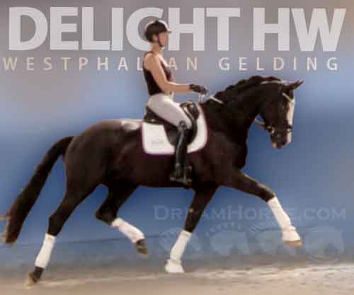 Horse ID: 2277509 Delight HW at www.HWfarm.com