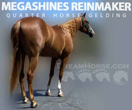 Horse ID: 2277646 MEGASHINES REINMAKER