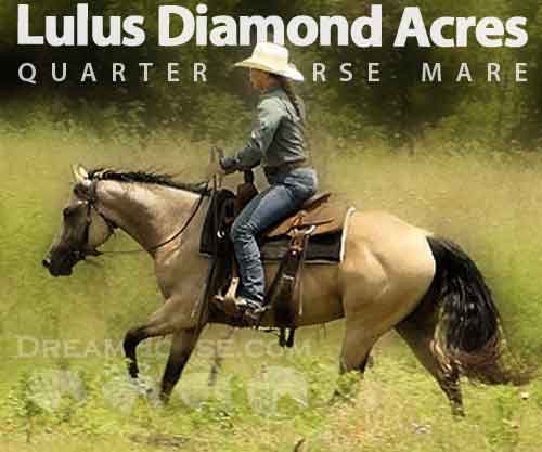 Horse ID: 2279487 Lulus Diamond Acres