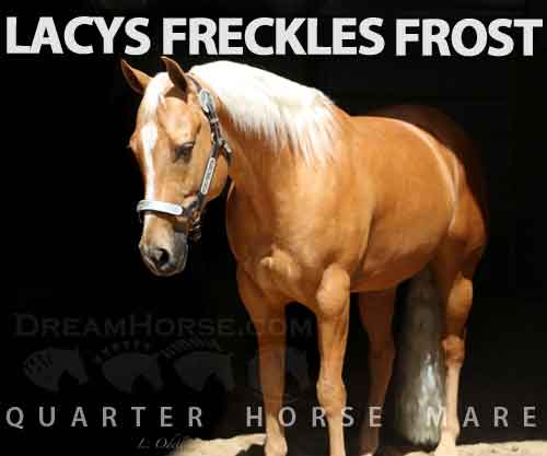 Horse ID: 2279625 LACYS FRECKLES FROST