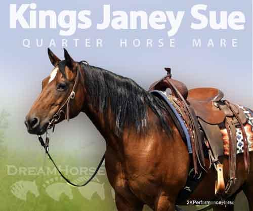 Horse ID: 2280079 Kings Janey Sue