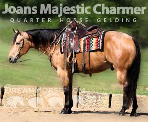 Horse ID: 2280122 Joans Majestic Charmer