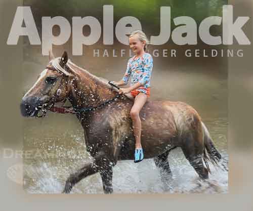 Horse ID: 2281043 Apple Jack