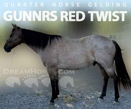 Horse ID: 2281355 GUNNRS RED TWIST