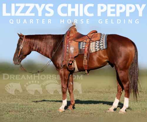 Horse ID: 2281547 LIZZYS CHIC PEPPY