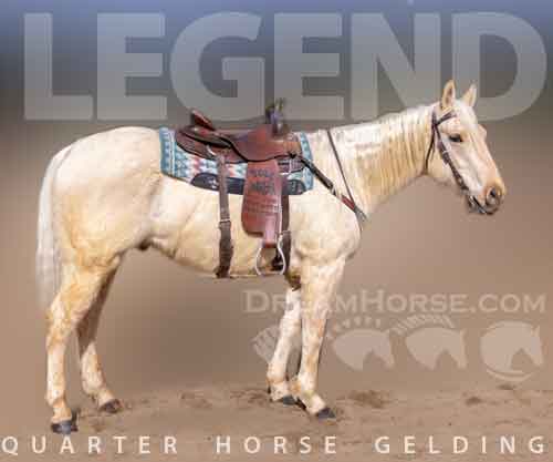 Horse ID: 2282208 LEGEND