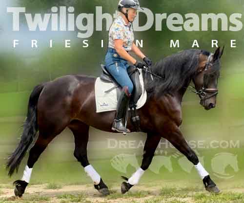 Horse ID: 2282372 Twilight Dreams