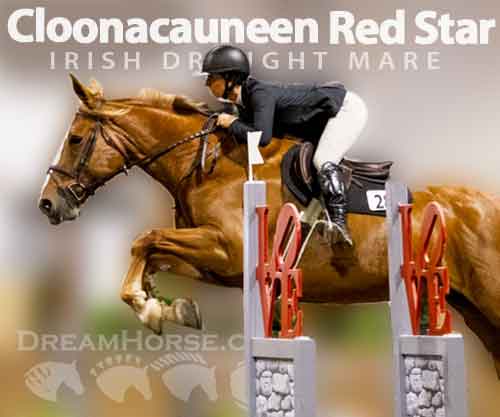 Horse ID: 2282620 Cloonacauneen Red Star