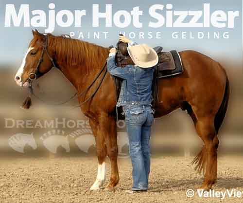 Horse ID: 2282904 Major Hot Sizzler