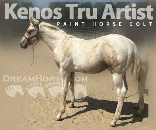 Horse ID: 2282936 Kenos Tru Artist