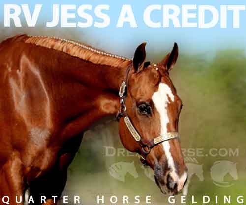 Horse ID: 2283086 RV JESS A CREDIT