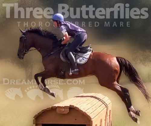 Horse ID: 2283110 Three Butterflies