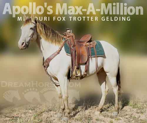 Horse ID: 2283246 Apollo's Max-A-Million