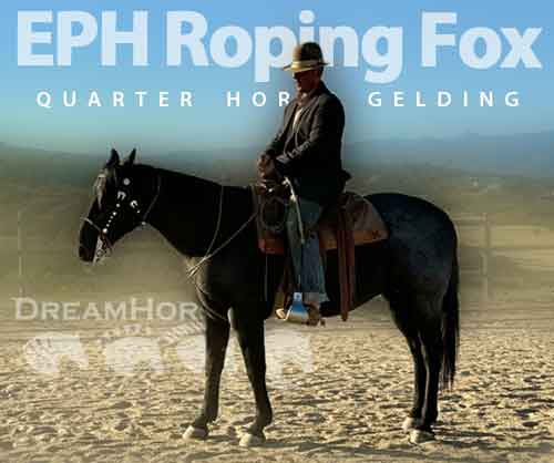 Horse ID: 2283415 EPH Roping Fox