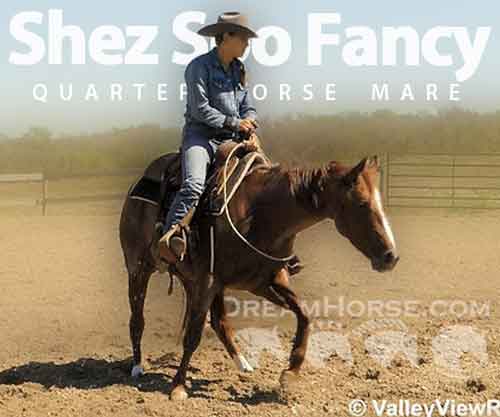 Horse ID: 2283551 Shez Soo Fancy