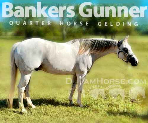 Horse ID: 2284283 Bankers Gunner