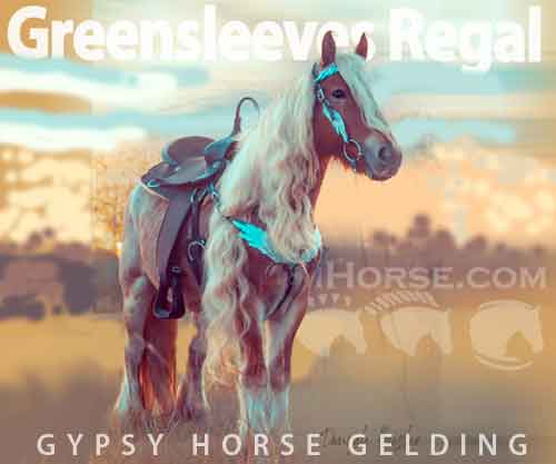 Horse ID: 2285199 Greensleeves Regal