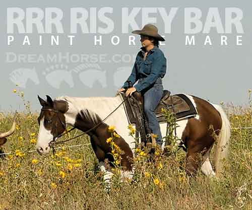 Horse ID: 2285233 RRR Ris Key Bar