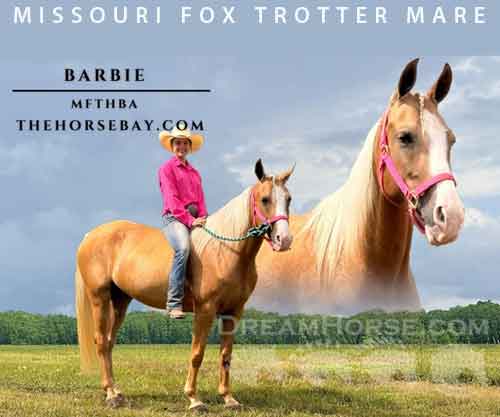 Horse ID: 2285256 Fiona Barbie