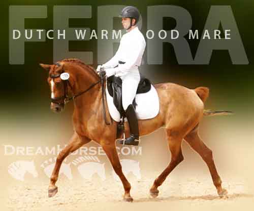 Horse ID: 2287641 Ferra (Rousseau x Jazz x Graf Goetz)