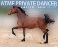 2252445