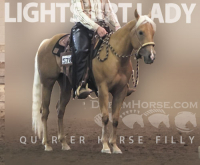 Spotlight Thumbnail