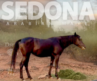 Spotlight Thumbnail