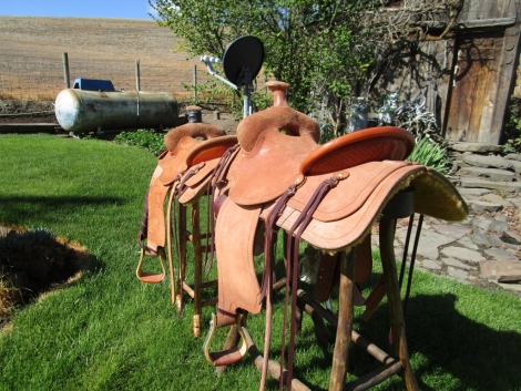 Tack ID: 568481 Brand new and slightly rode saddles made by Robin Severe - PhotoID: 153008 - Expires 31-Oct-2024 Days Left: 97