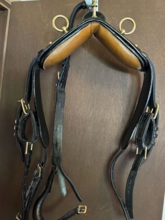 Tack ID: 568595 Smucker Carriage Show Harness--Horse--Excellent - PhotoID: 153219 - Expires 09-Dec-2024 Days Left: 161
