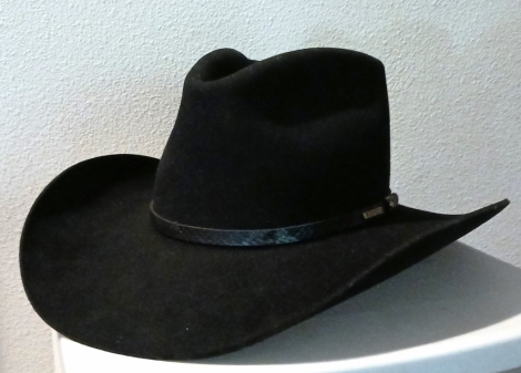 Tack ID: 568599 Stetson Western hats + case - PhotoID: 153205 - Expires 09-Sep-2024 Days Left: 2