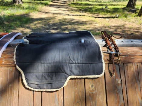 Tack ID: 568636 Genuine Bob Marshall Treeless Sport Saddle - PhotoID: 153260 - Expires 14-Dec-2024 Days Left: 98